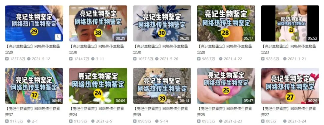 图片30.png