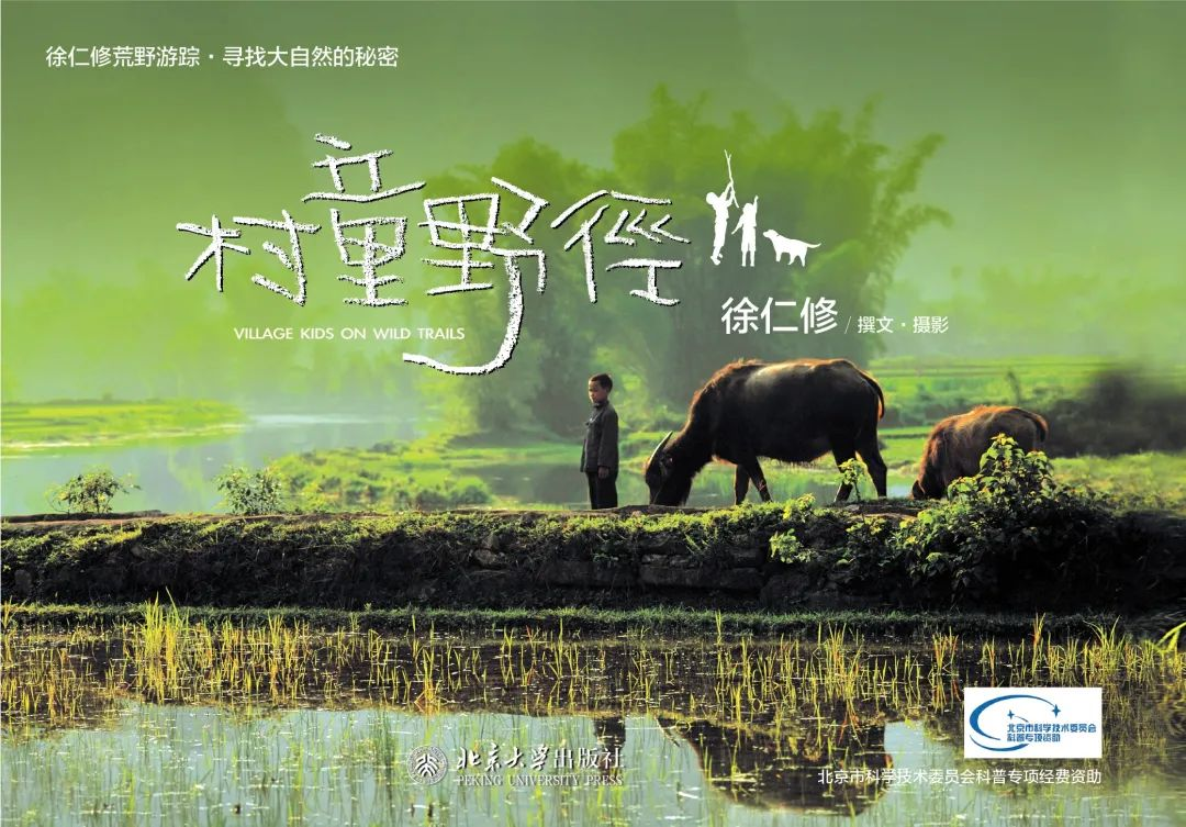 图片50.png