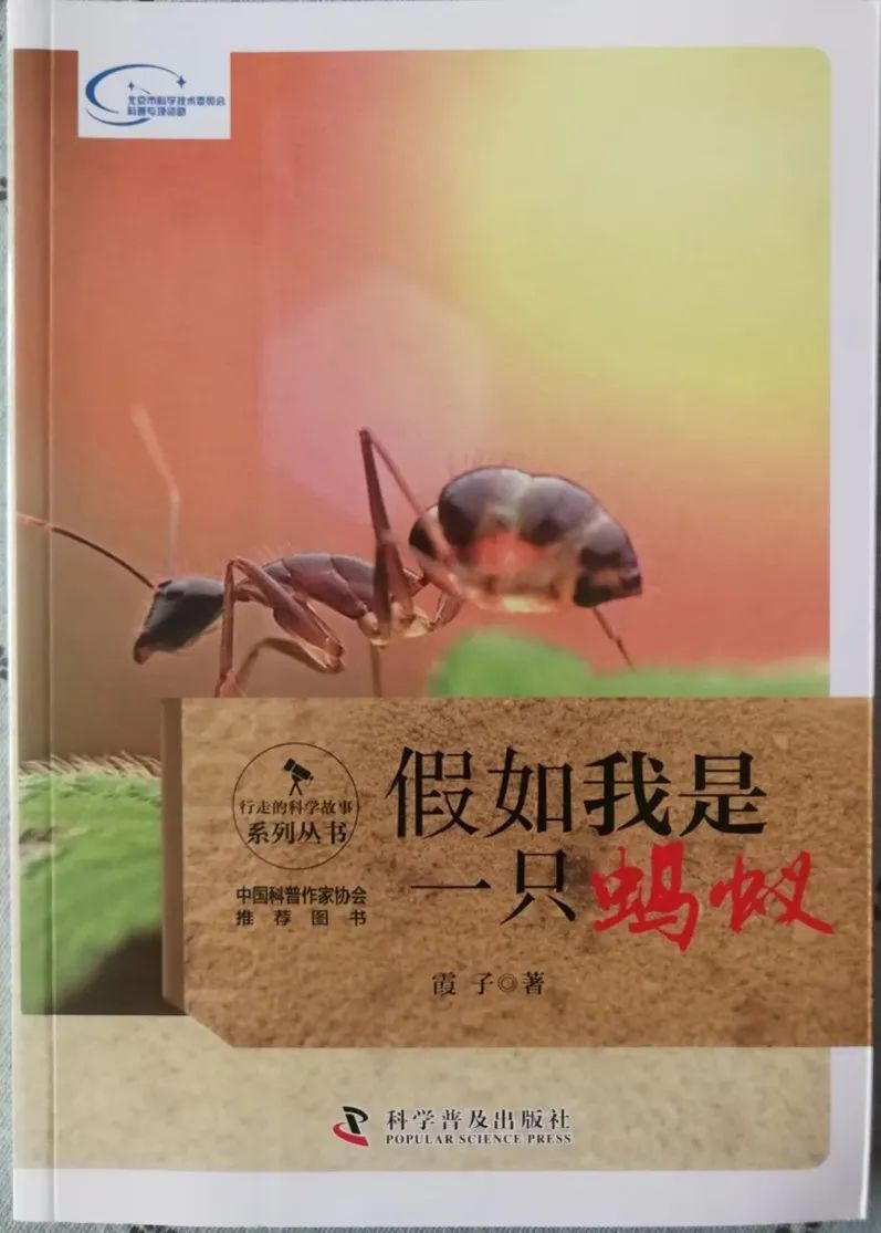 图片19.png