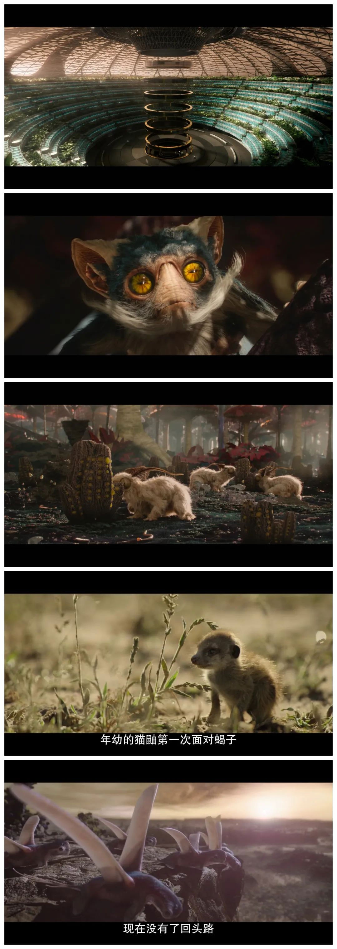 图片15.png