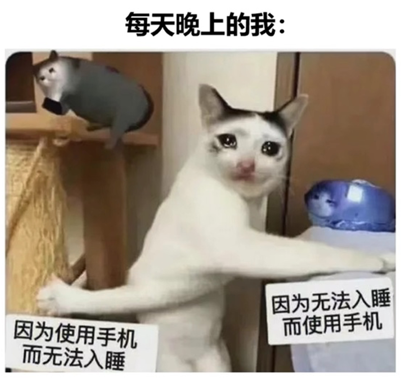 图片10.png