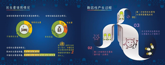 图片13.png