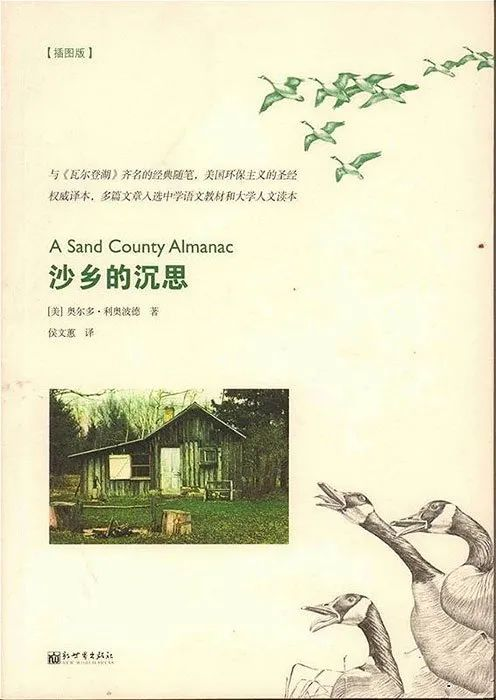 图片18.png