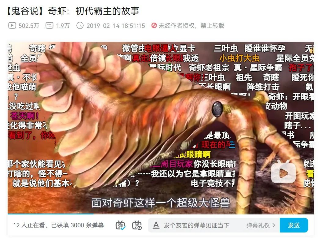 图片29.png