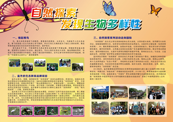 图片16.png