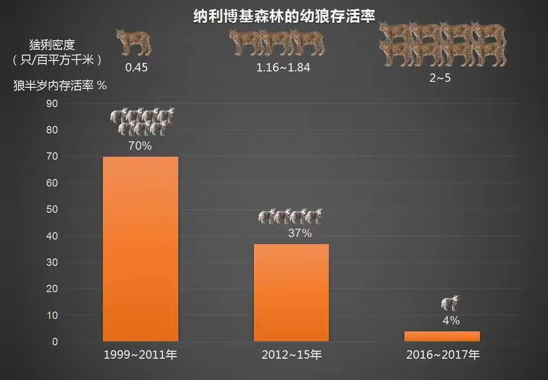 图片14.png