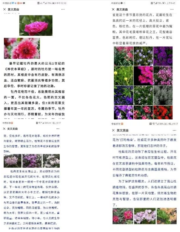 微信截图_20221115170309.png