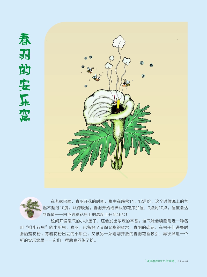 01 春羽.jpg