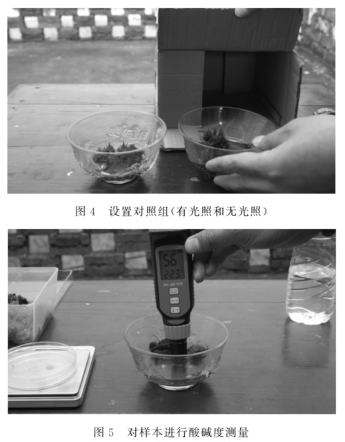 图片19.png