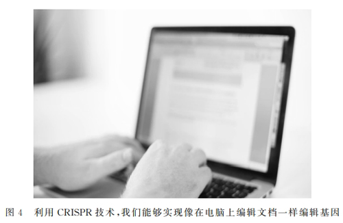 图片4.png