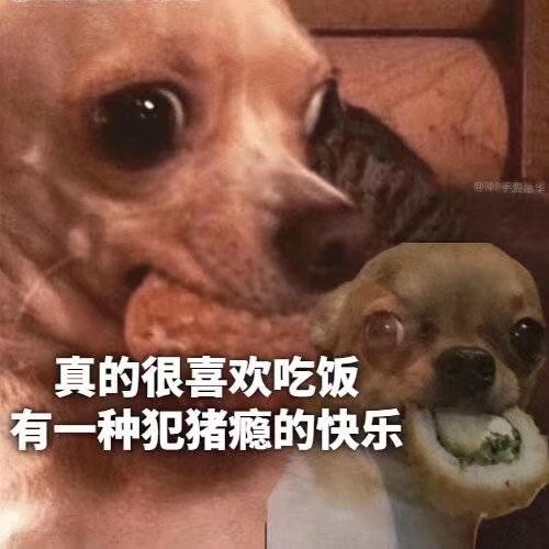 图片16.png