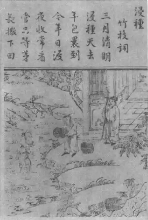 图片20.png